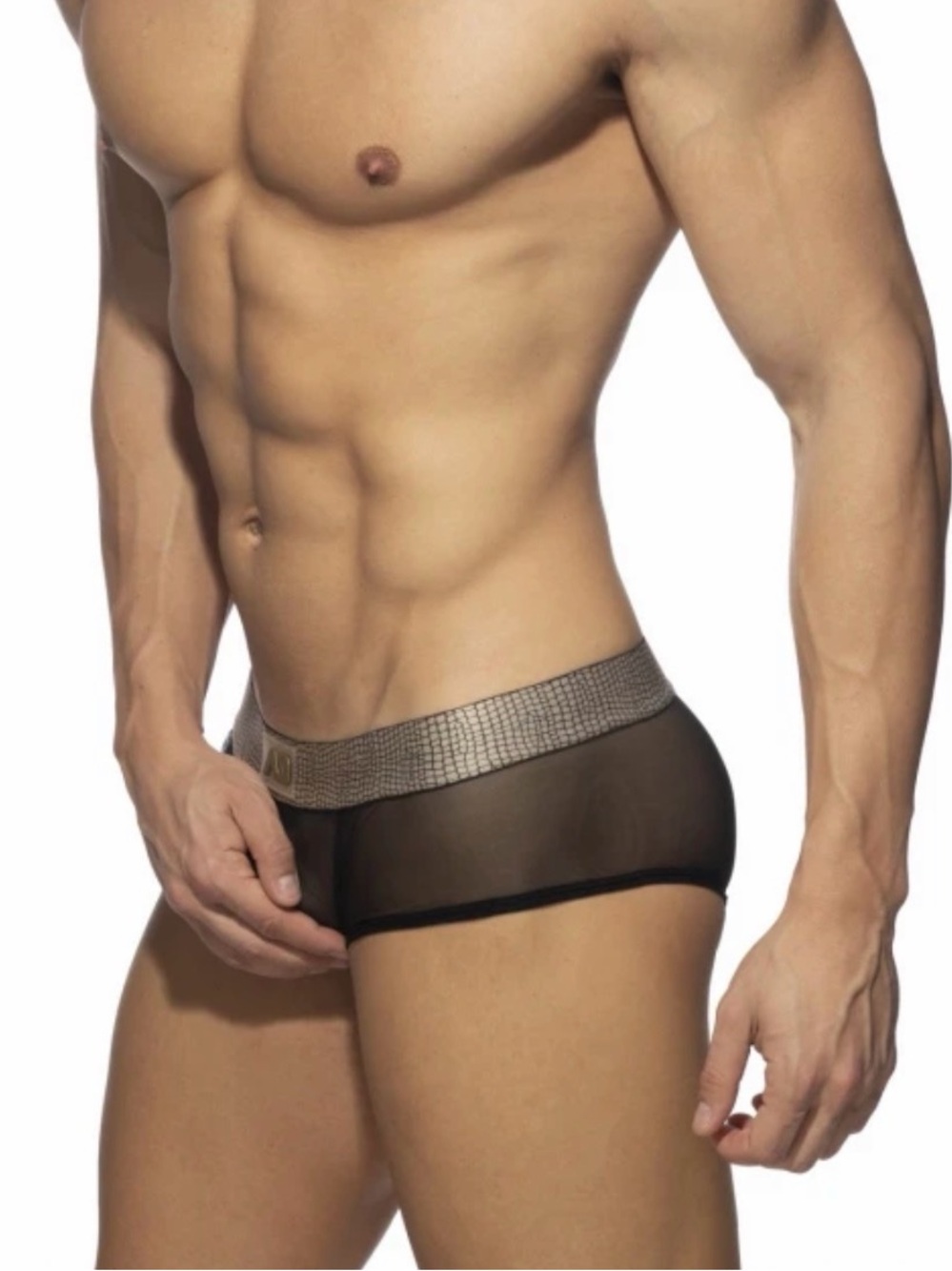 Addicted Snake Net Briefs